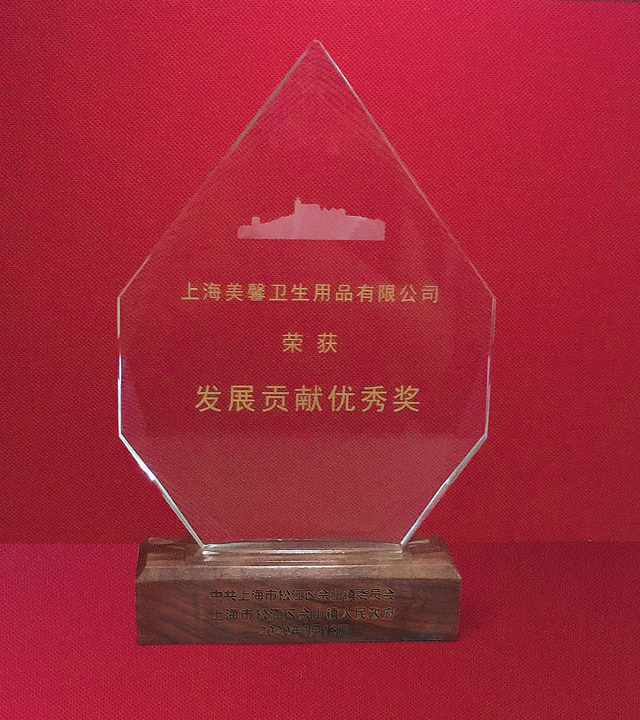 1622538681558662.jpg 發(fā)展貢獻(xiàn)獎(jiǎng)獎(jiǎng)杯.jpg